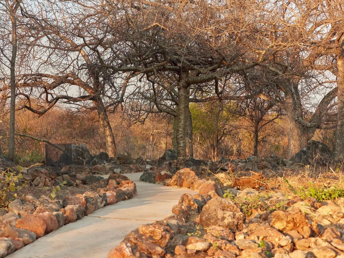 Zuricamp - Tent Zahir Tsumeb Dış mekan fotoğraf